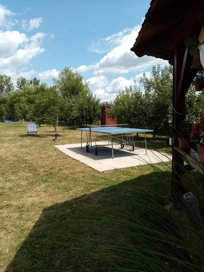 Hotel Pensiunea Oana Balc Exterior foto